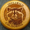 Idyllwild Gift Shop gallery