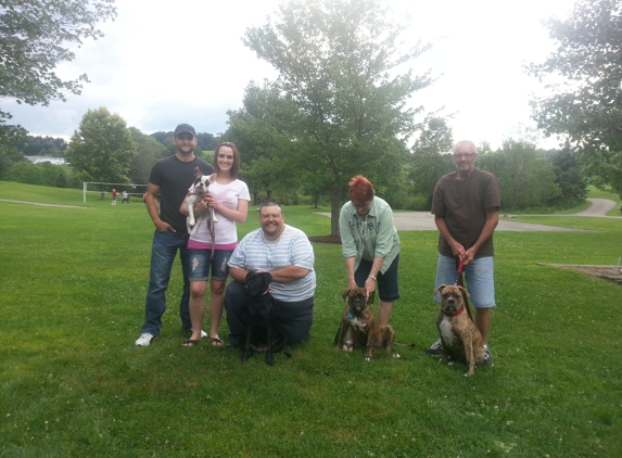 Learning to Lead Dog Training - Greensburg, PA