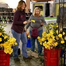 Flowers by David - Florists