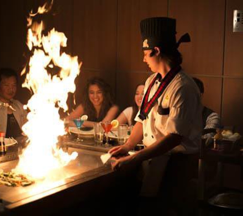 Shinto Japanese Steakhouse & Sushi Lounge - Naperville - Naperville, IL