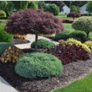J & M Landscaping - Weed Control Service