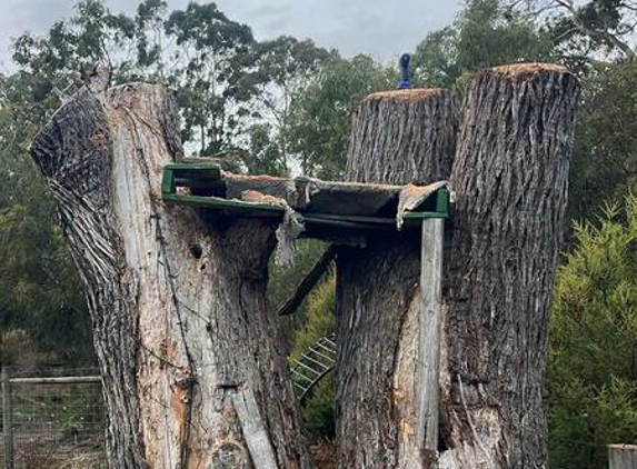 The Green Barber tree service - Dodges Ferry, TAS. After