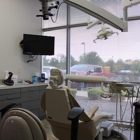 M.City Endodontics