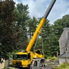 Top Notch Tree, Inc. gallery