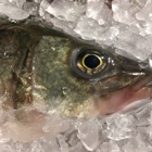 Monahan's Seafood Market