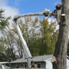 Top Notch Tree Service Inc. gallery