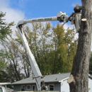 Top Notch Tree Service Inc. - Tree Service