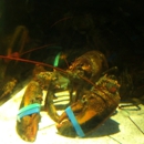 Red Lobster - Seafood Restaurants