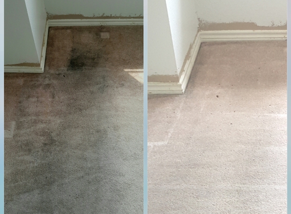 Smith's All-Natural Carpet Cleaning Service - Manor, TX