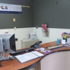 Petco Grooming gallery