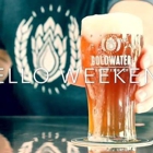 Goldwater Brewing Co. Longbow Tap Room