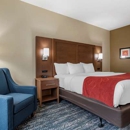 Comfort Inn & Suites Downtown Near University - Motels