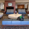 Wingate by Wyndham Chantilly / Dulles Airport gallery