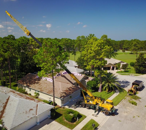 USA Tree Service - Weeki Wacee, FL