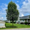 Stavisky Orthodontics gallery