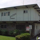 Lotus Apartments - Apartments