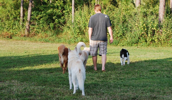 Happy Paws Ranch..dog boarding - North Fort Myers, FL