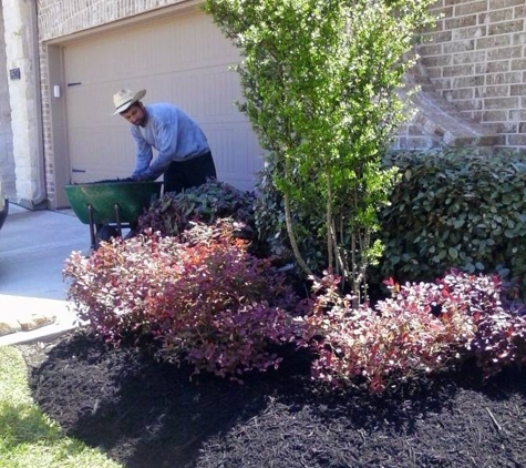 Lawn & Landscape Services - Tomball, TX