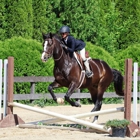 On Course Riding Academy