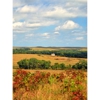 Tallgrass Prairie National Preserve gallery