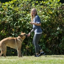 Free and Balanced K9 Training - Dog Training