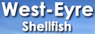 West-Eyre Shellfish - Oyster Suppliers & Farmers