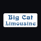 Big Cat Limousine