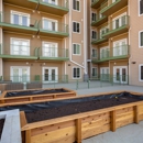 Ball Park Apartments - Apartment Finder & Rental Service