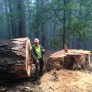 Arnold Bros Tree Service - Tree Service
