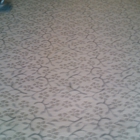 Wilton Floors