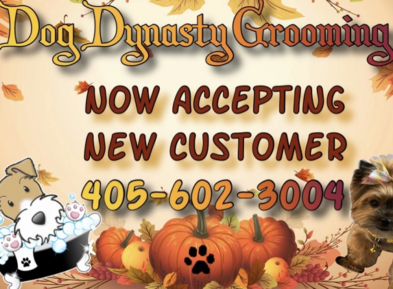 Dog Dynasty Grooming Salon - Oklahoma City, OK