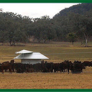 H.E Silos Forbes - Forbes, NSW