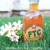 Fermented Tea Company gallery