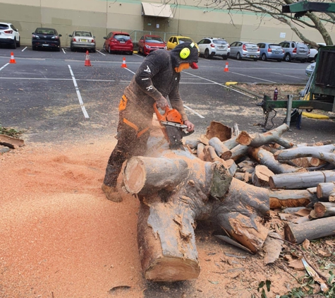 Dale's Tree Service. Dales Professional Tree Services
