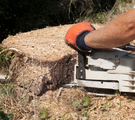 Dunn's Tree Service - Uncasville, CT