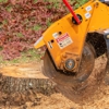 Thompson's Tree Service gallery