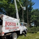 Foster Tree & Landscaping