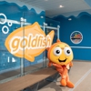 Goldfish Swim School - Saint Johns gallery