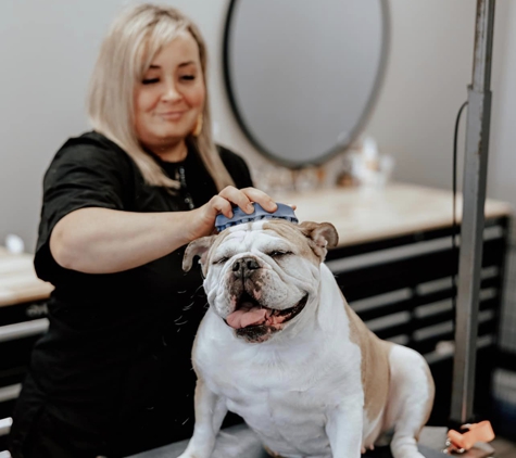 Pawsitively Purfect Salon - Florence, KY