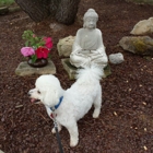 Seabrook Buddhist Temple