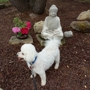 Seabrook Buddhist Temple