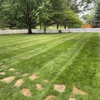 Rooted Lawn & Landscape gallery