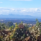 Grey Fox Vineyards