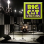 BIG CAT STUDIOS