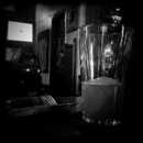 Sayner Pub - Brew Pubs