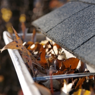 Mr Squeegee - Collinswood, SA. Do you need your gutters cleaned?