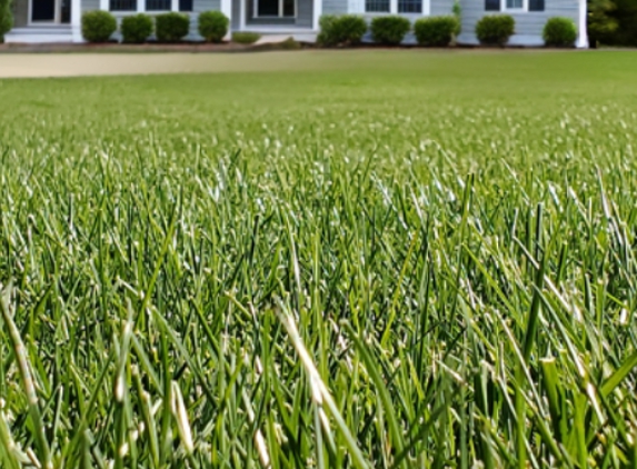 Pine Valley Turf Management - Concord, NC