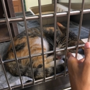 Pasadena Humane - Animal Shelters