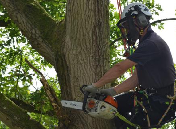 Volusia Bobcat & Tree Service - Debary, FL