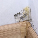Neato Cleaning & Restoration - Drywall Contractors